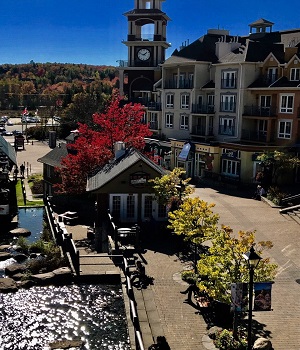 Attraction around Montreal